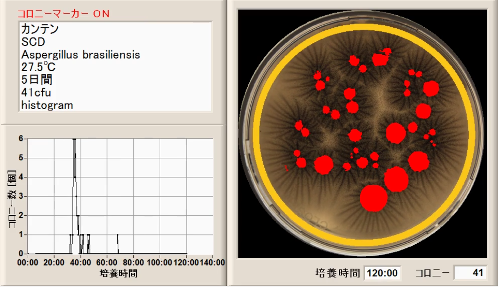 微生物限度試験/Aspergillus